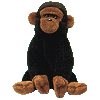 {short description of image}